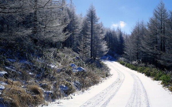 冬季盘山路