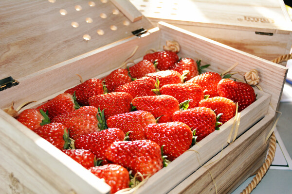 草莓精装礼盒图片