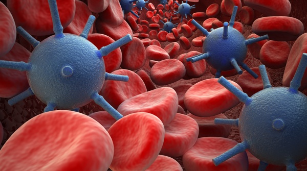 病毒与血球图片