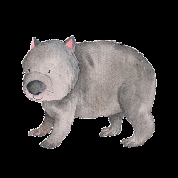 手绘灰色树熊透明动物素材