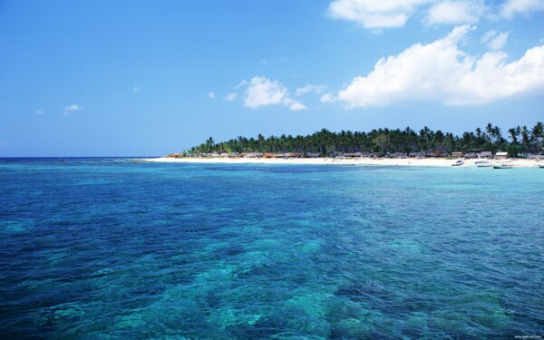 巴厘岛热带风情