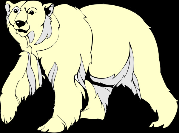 北极熊2