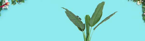 綠色植物banner背景