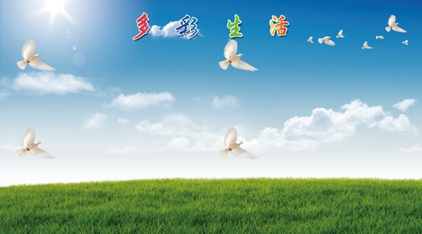 多彩生活文化墻圖片
