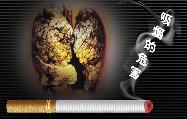 吸煙的危害圖片
