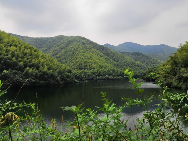 竹海