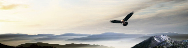 企業(yè)文化banner