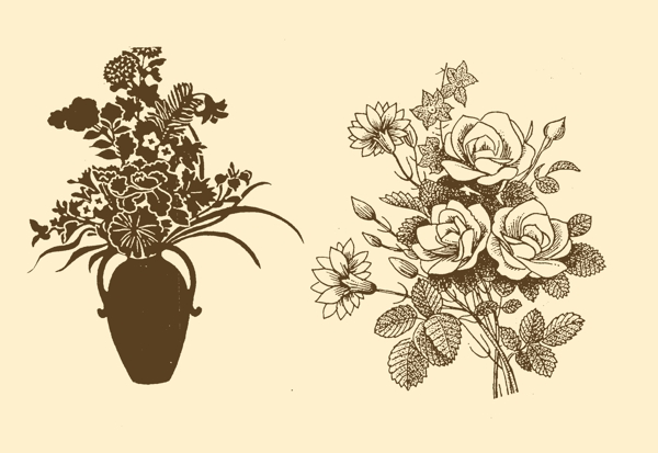 植物裝飾畫(huà)圖片