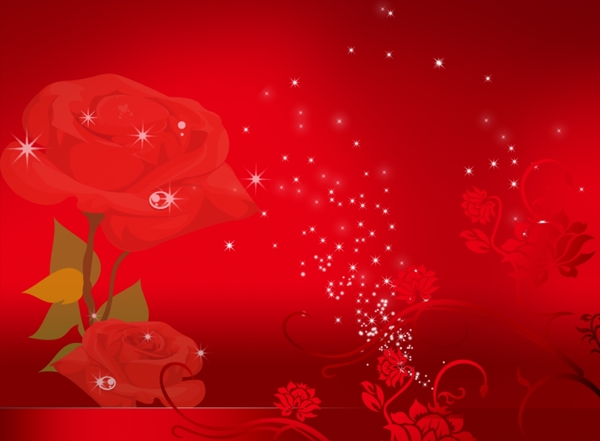 玫瑰花紅背景