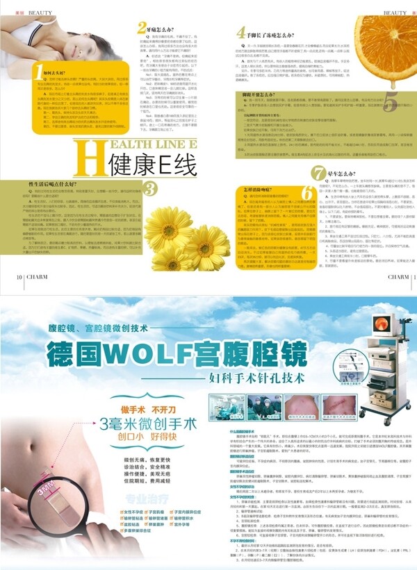 宮腹腔鏡雜志兩頁圖片