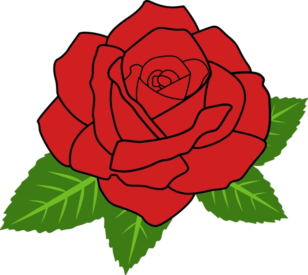玫瑰花红色玫瑰手绘