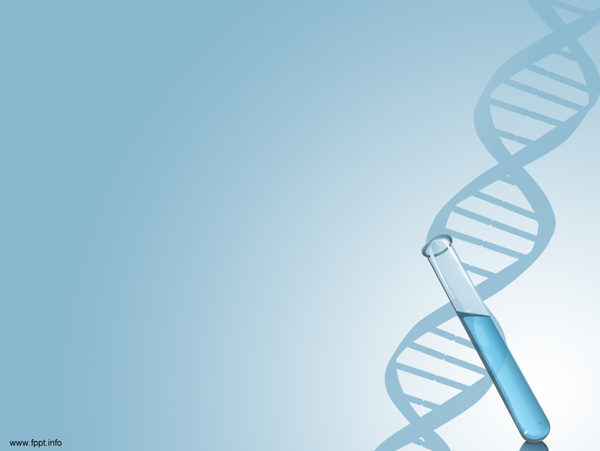 ppt模板DNA