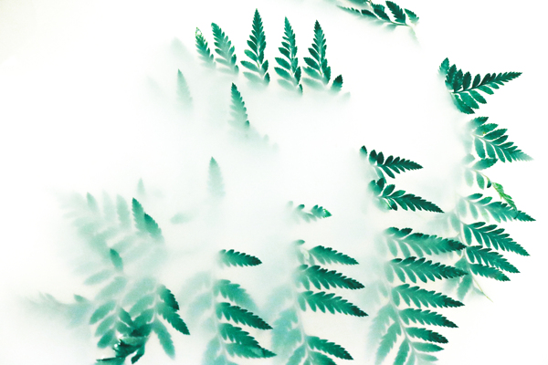 綠植煙霧