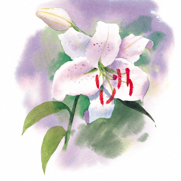 位圖時(shí)尚休閑女裝成熟優(yōu)雅女裝植物優(yōu)雅植物免費(fèi)素材