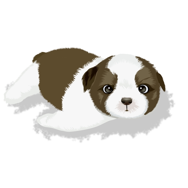 卡通萌寵小狗動(dòng)物設(shè)計(jì)