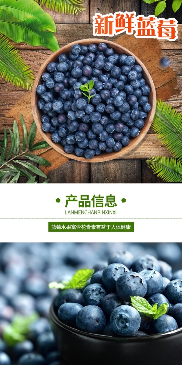 电商详情页水果清新简约新鲜蓝莓绿叶