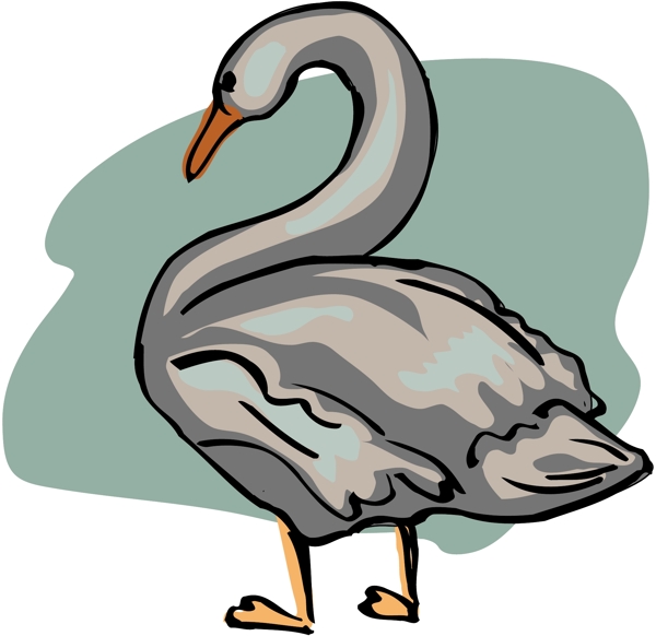 各種鳥(niǎo)類(lèi)鳥(niǎo)動(dòng)物矢量素材EPS格式1486