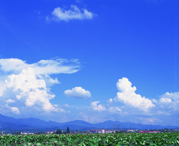 田園風光