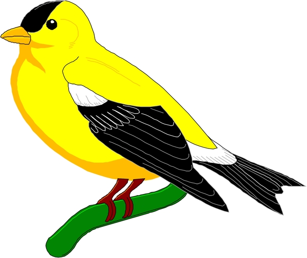 矢量逼真鳥類動物17