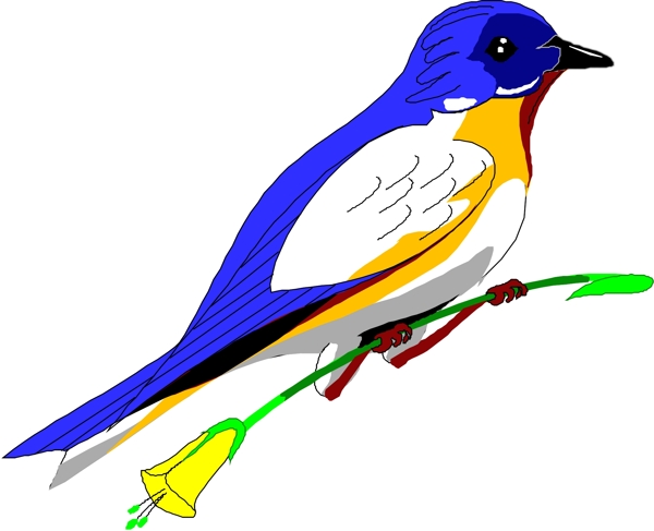 矢量逼真鳥類動物8