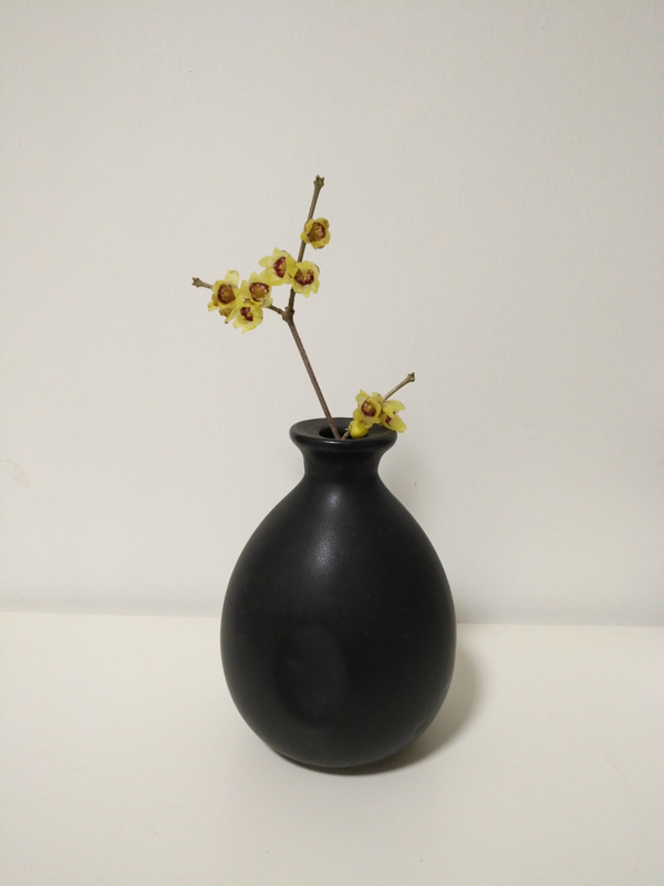 中式插花艺术腊梅陶瓷花瓶暗香
