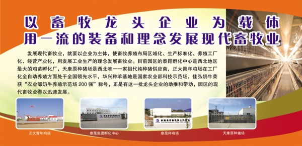 畜牧業(yè)站展板圖片