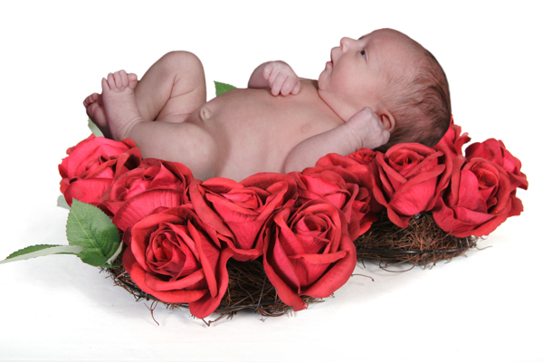 睡在玫瑰花巢上的可爱宝宝图片