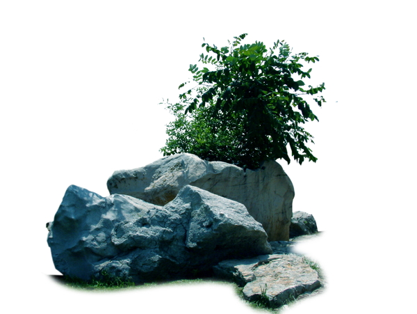景觀環(huán)境025背景素材