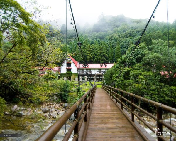 山林中的吊桥