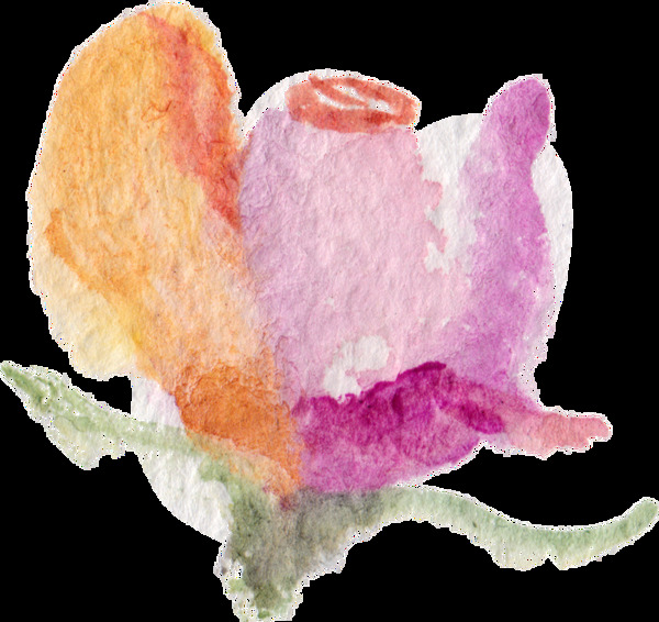艺术绘画花卉透明装饰素材