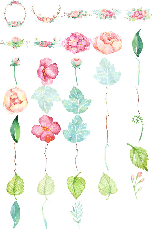 水彩绘清新植物和叶子插画