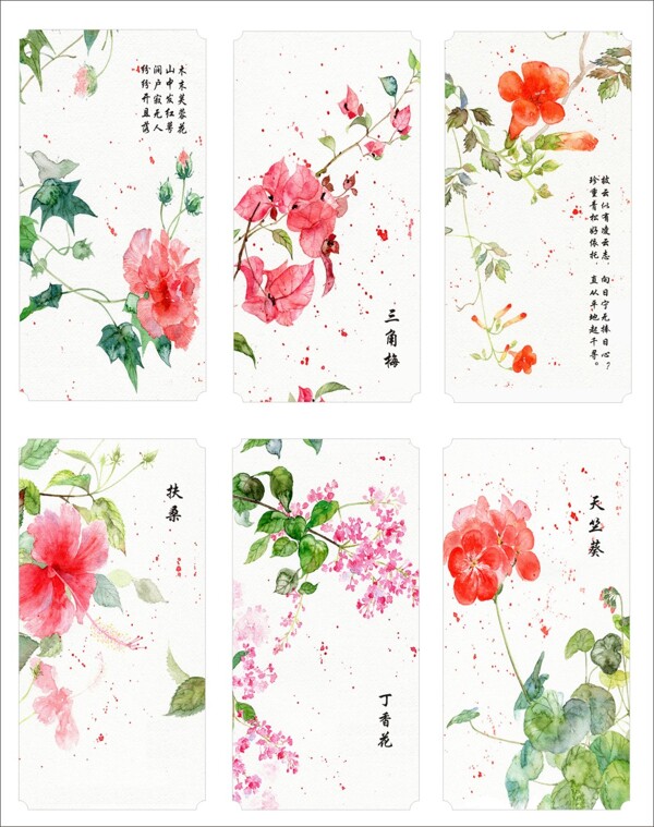 植物花卉書簽