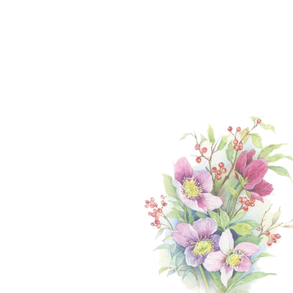 花朵主圖背景