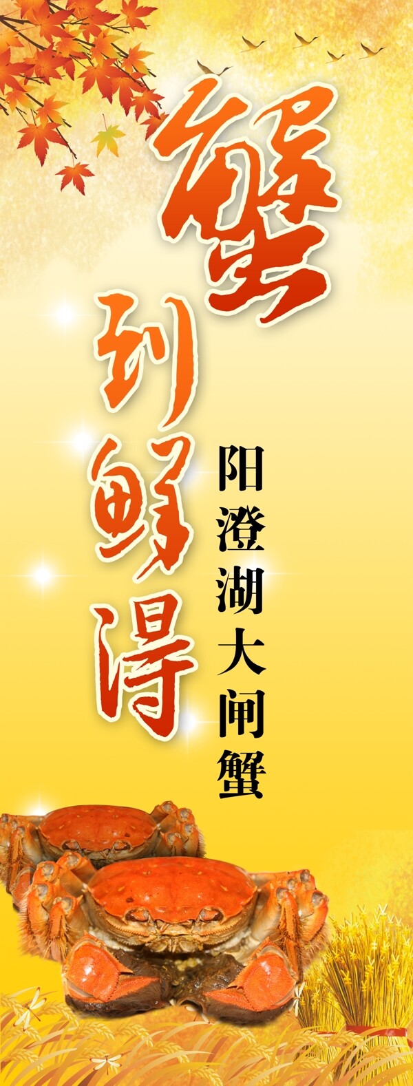 大閘蟹展架圖片