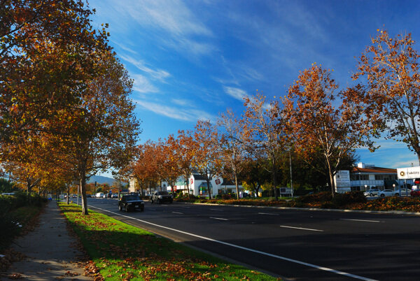 美国加州圣何塞街景图片