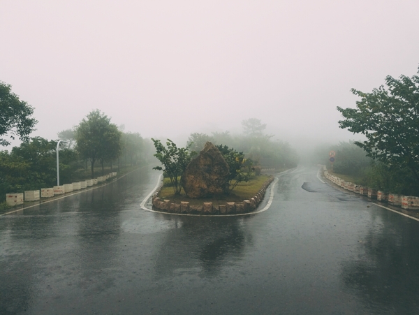 雨霧羊山