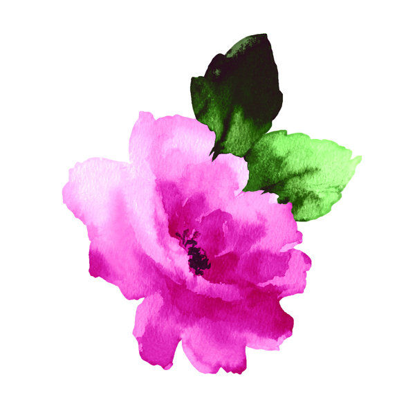 位圖植物寫意花卉花朵牡丹免費(fèi)素材