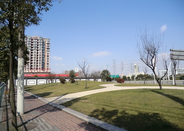 城市街心草坪圖片