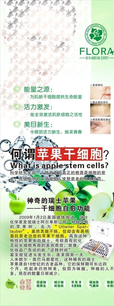 苹果干细胞图片