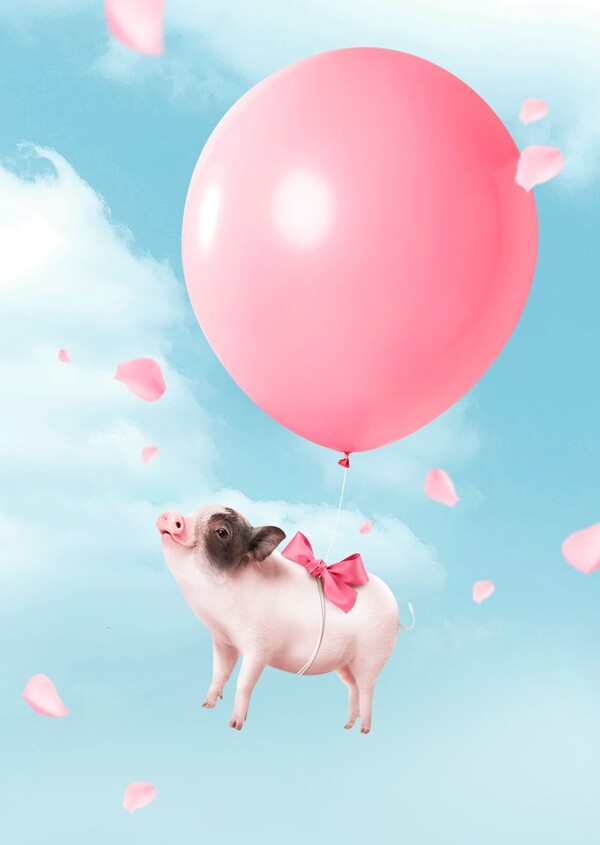 简约粉色气球2019猪年形象背景素材