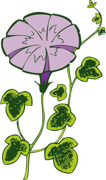 位圖優(yōu)雅植物色彩紫色綠色免費素材