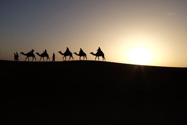 沙漠骆驼剪影图片