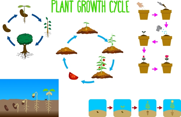 植物設計圖