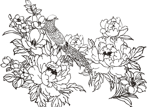 花開富貴