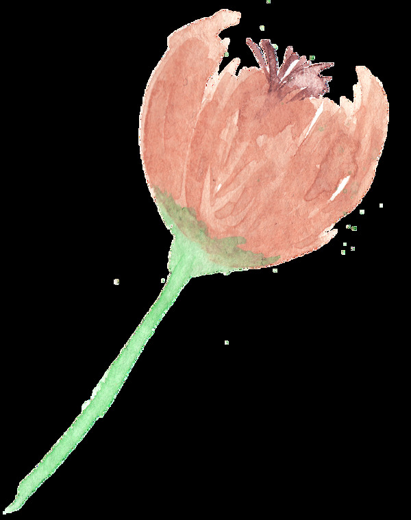 棕紅花束卡通透明素材
