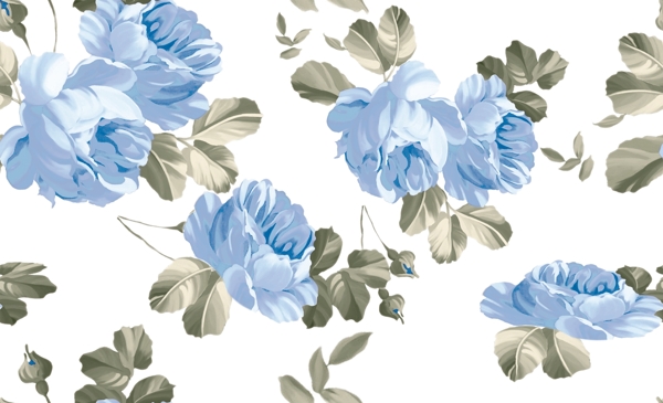 藍(lán)花