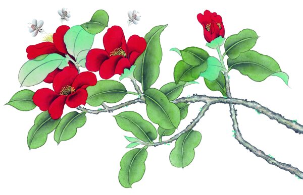 工筆畫(huà)花卉植物圖片