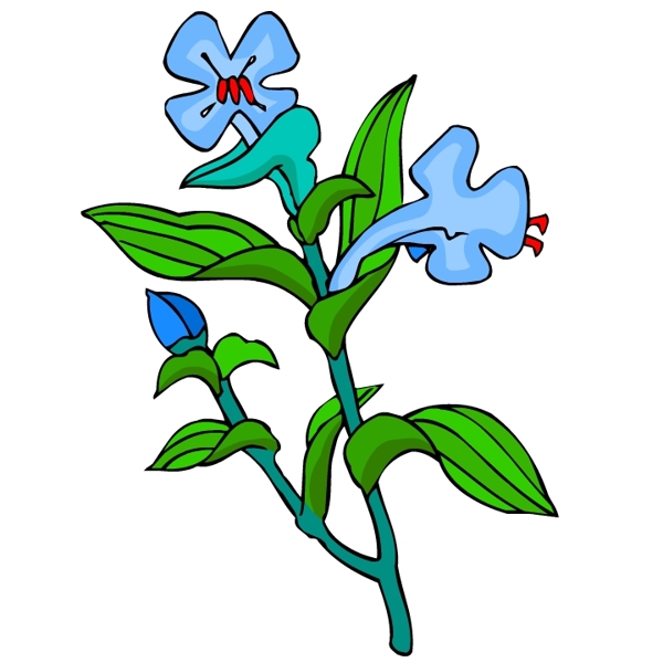 花卉古典插畫