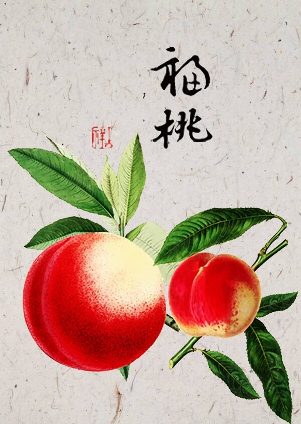 果蔬