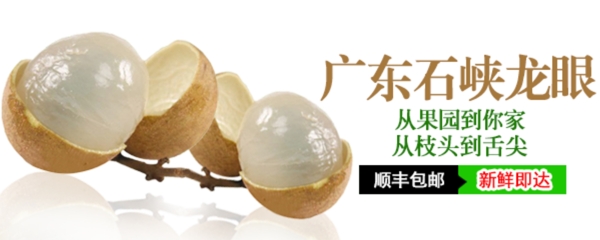 龍眼鉆展